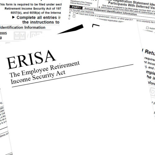 ERISA Wrap Document Services